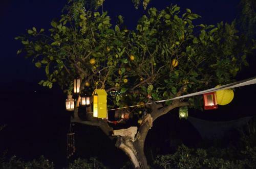 B&B Finca Alegria De La Vida