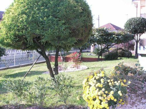 Apartamento Appartamento Via Latina