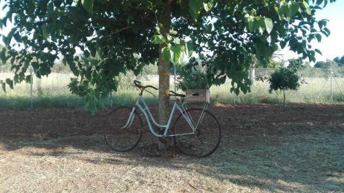 Agroturismo Sa Estada