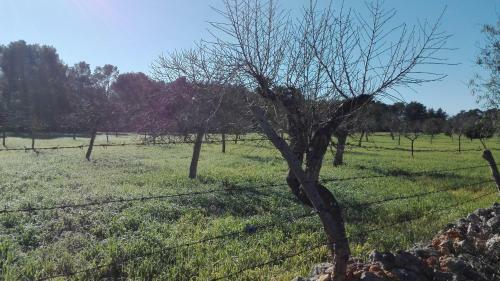 Agroturismo Sa Estada