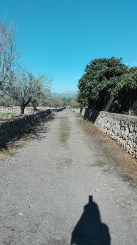 Agroturismo Sa Estada