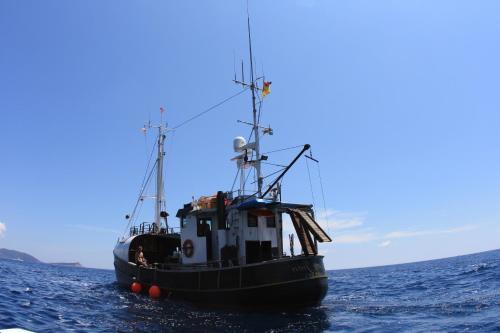 Boat Ms Cutty Jean