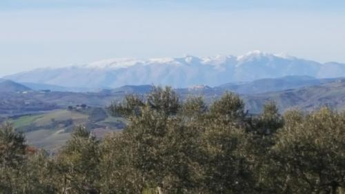 Apartamento B&B Mille Ulivi
