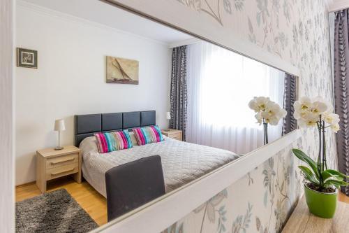 City Apartment Trifoiului