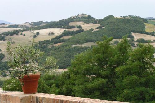 Casa Vacanza La Torcia