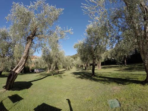 Apartamento Casa Vacanza Malcesine