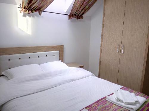 Hostal Vila Slanic