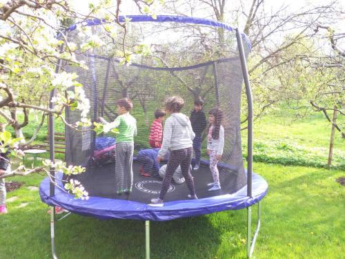 Hostal Vila Slanic
