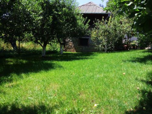 Hostal Vila Slanic