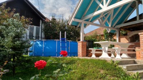 Hostal Vila Slanic