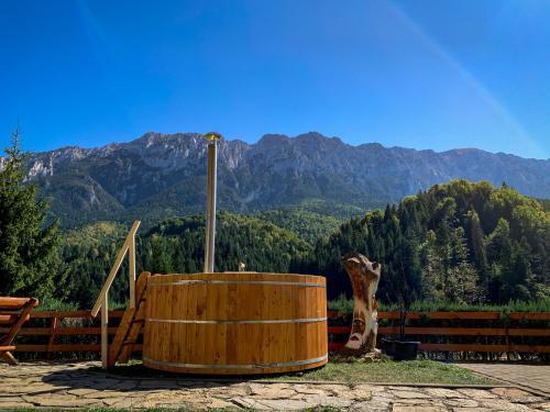 Hostal Panorama Pietrei Craiului