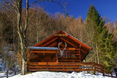 Cabana Casa Craita