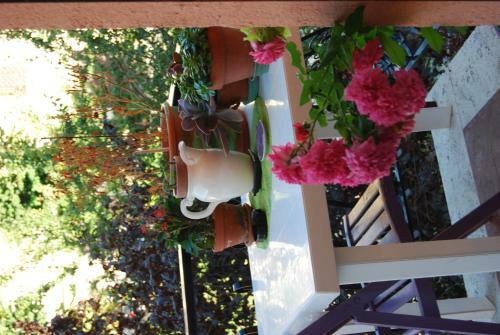 Bed & Breakfast L'orchidea