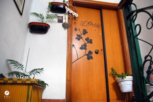 Bed & Breakfast L'orchidea