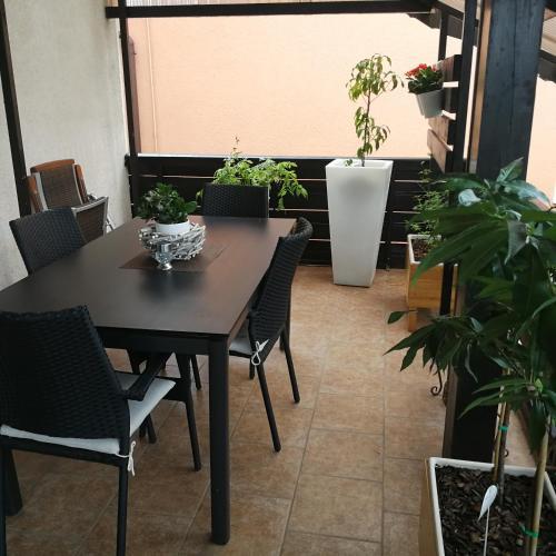 Apartment Andy