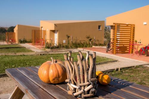 Agroturismo Entre Vinhas E Mar