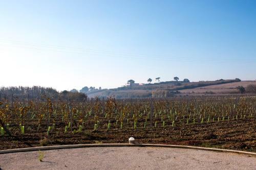 Agroturismo Entre Vinhas E Mar