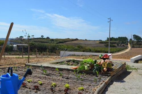 Agroturismo Entre Vinhas E Mar