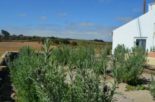 Agroturismo Entre Vinhas E Mar