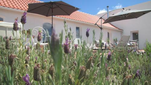 Agroturismo Entre Vinhas E Mar