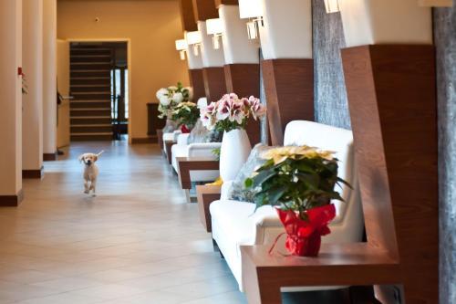 Hotel Cristallo
