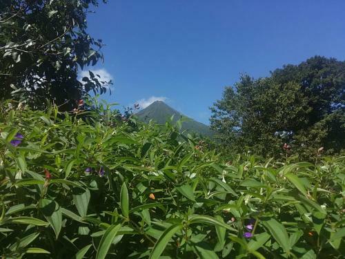 T�o Felix Eco Lodge