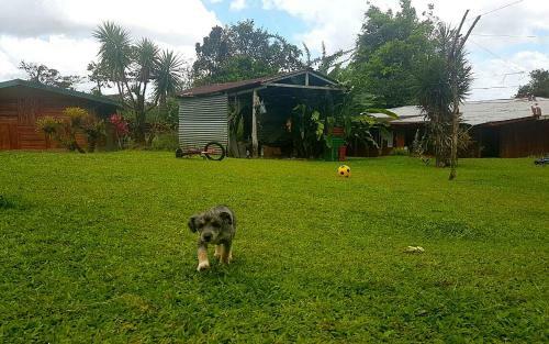 T�o Felix Eco Lodge