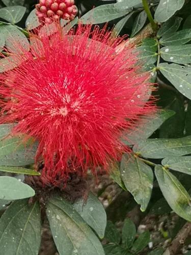 T�o Felix Eco Lodge