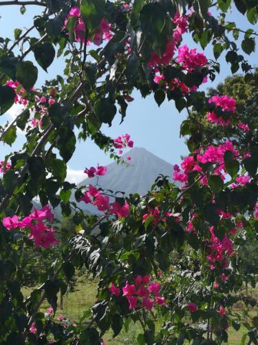 T�o Felix Eco Lodge