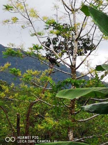 T�o Felix Eco Lodge