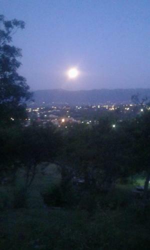 Alto De Balc�n