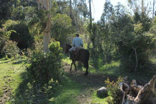 Lodge Refugio Pullao