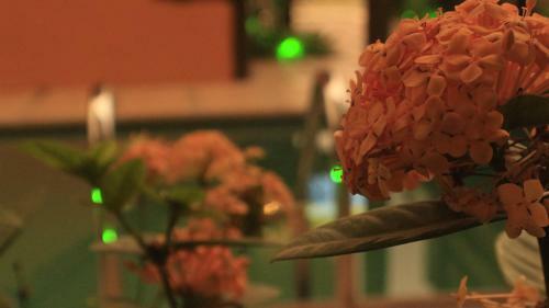 Hotel Los Balcones De Mompiche