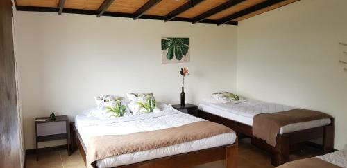 Bed & Breakfast Finca Cafe Bernal
