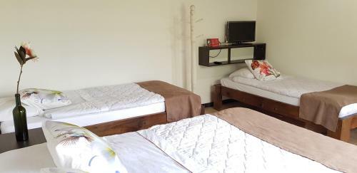 Bed & Breakfast Finca Cafe Bernal