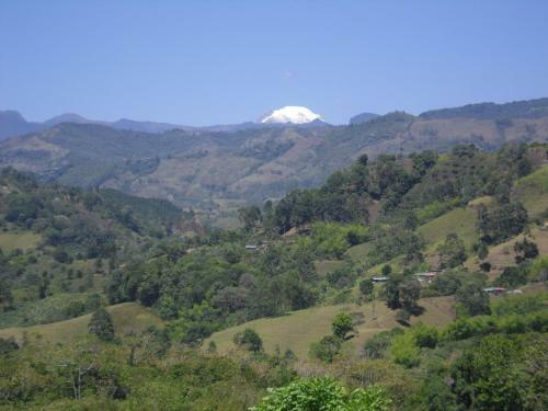 Bed & Breakfast Finca Cafe Bernal