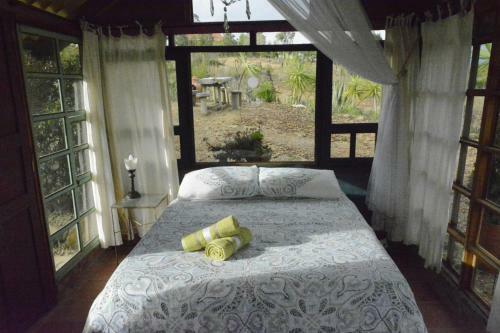 Hostal The Little Glass House