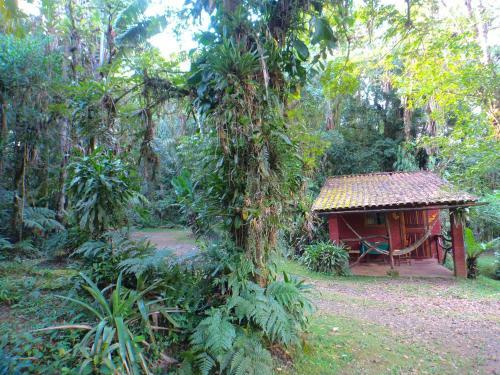 Hostal Pousada Cabanas Do Curupira