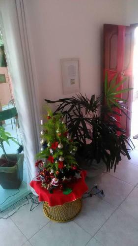 Hostal Pousada Meus Amores