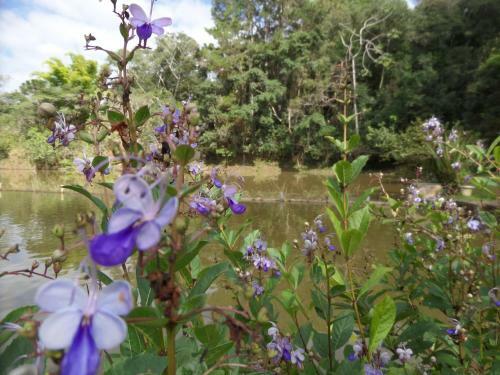 Lodge Fazenda Camping Cabral