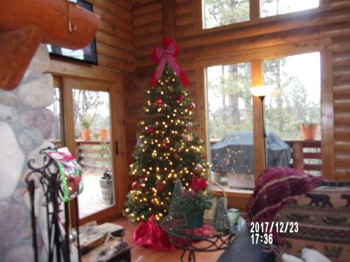 The Cub Inn B&B