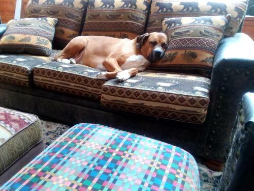 The Cub Inn B&B