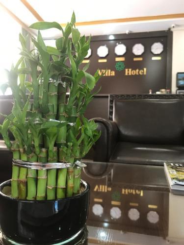 Bishkek Villa Hotel