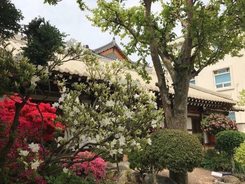 Hostal Taejomaru