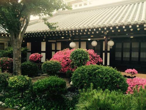 Hostal Taejomaru