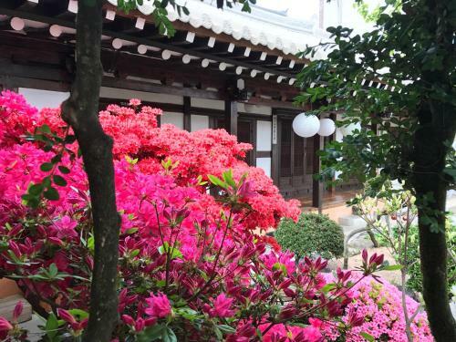 Hostal Taejomaru