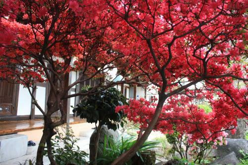 Hostal Taejomaru