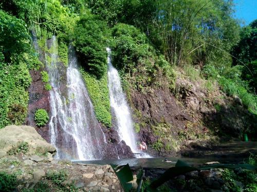 Banyuwangi Homestay