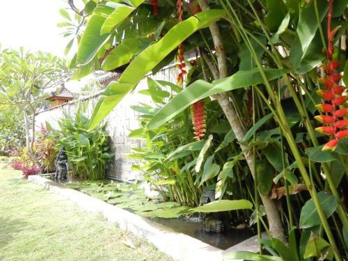 Yuda Menjangan Homestay