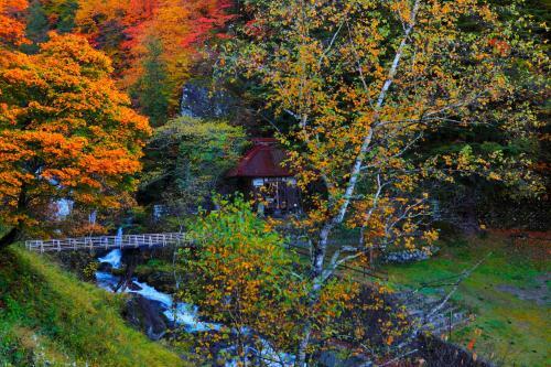 Tateshina Onsen Hotel Shinyu